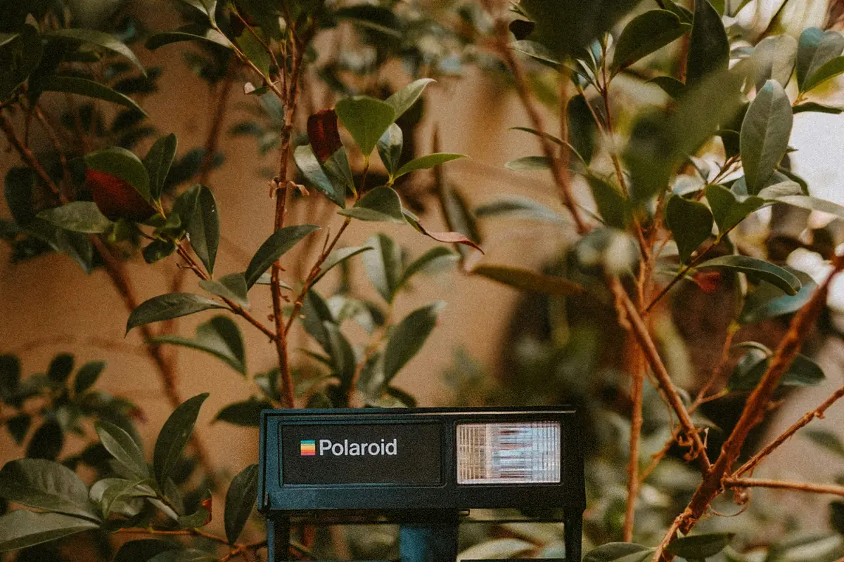 Dla kogo to się po prostu opłaca?